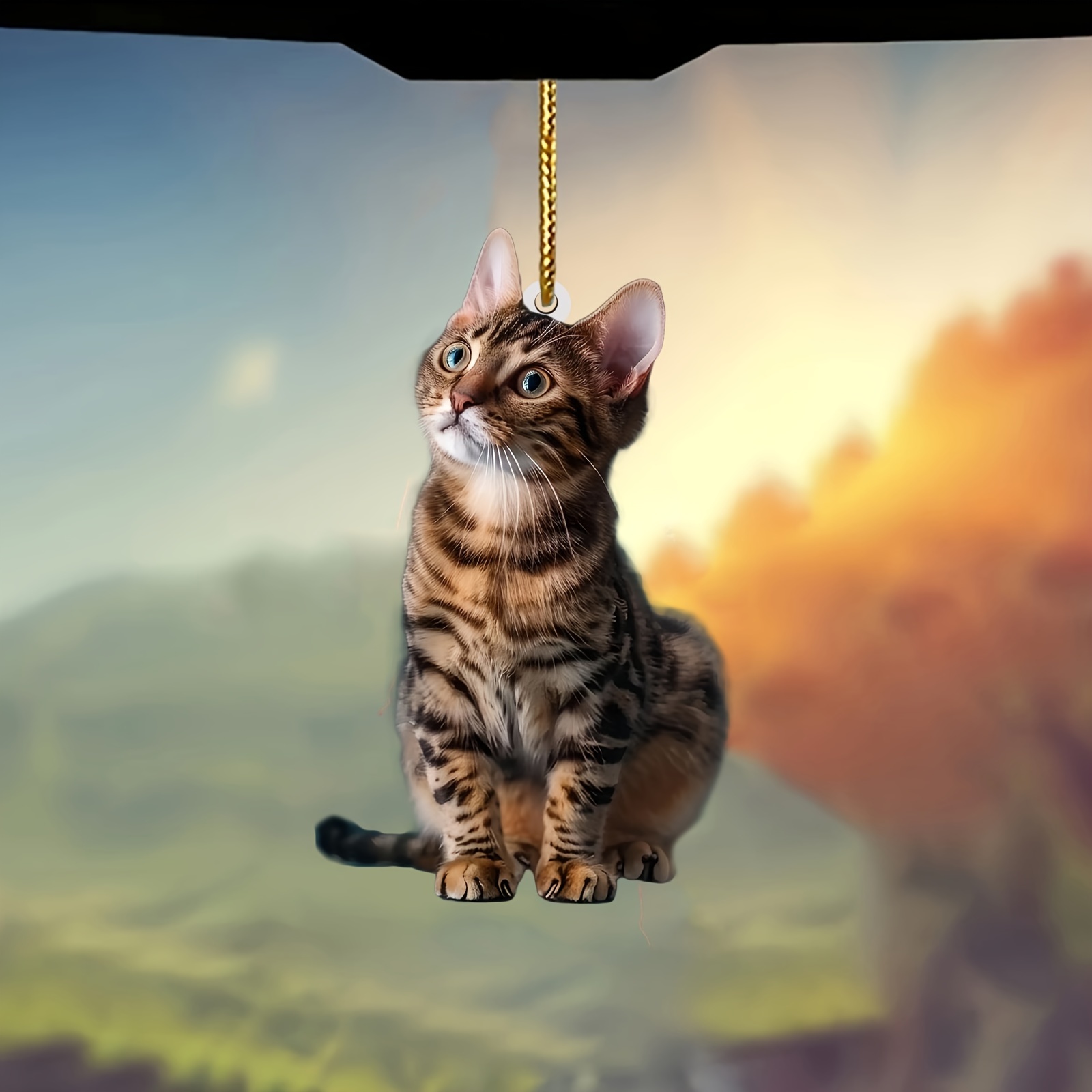 3pcs 2D Flat Cat Acrylic Penda - Car Accessories Oman ulasan dan harga